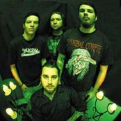 Sunk Loto - List pictures