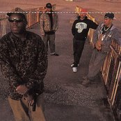 King T - List pictures