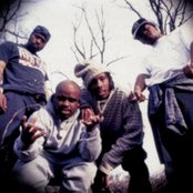 Goodie Mob - List pictures