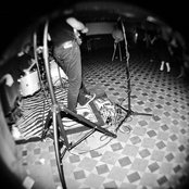 Fawn Spots - List pictures