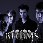 Blooms - List pictures