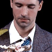 Royal Wood - List pictures