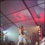 Razor - List pictures