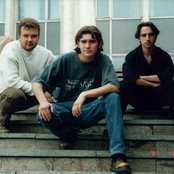 Forgive-me-not - List pictures