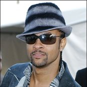 Shaggy - List pictures