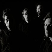 The Stills - List pictures