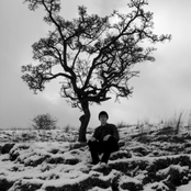 Bering Strait - List pictures