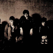 Shed Seven - List pictures