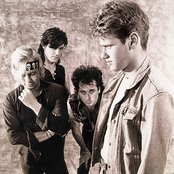 T.s.o.l. - List pictures