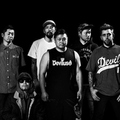 Fact - List pictures