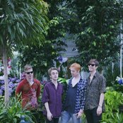 Hibou - List pictures