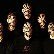 Orange - List pictures