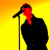 Elan - List pictures