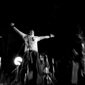 Sleazy Lizards - List pictures