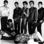 Titas - List pictures