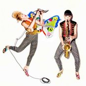 Chicks On Speed - List pictures