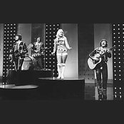 Middle Of The Road - List pictures