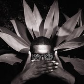 Flying Lotus - List pictures
