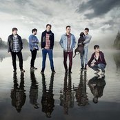 Willow - List pictures