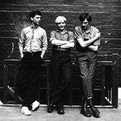 Normil Hawaiians - List pictures