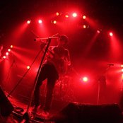 White Ash - List pictures