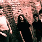 Divina Enema - List pictures