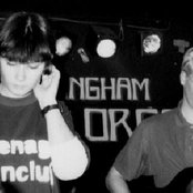 Field Mice - List pictures