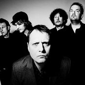 Weeping Willows - List pictures