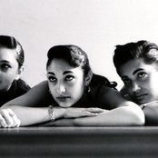 Kitty, Daisy And Lewis - List pictures