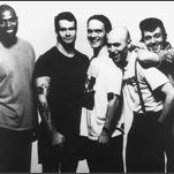 Rollins Band - List pictures