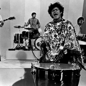 Monkeys - List pictures