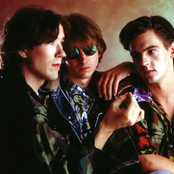 Talk Talk - List pictures