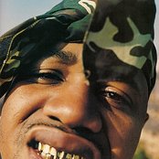 Juvenile - List pictures