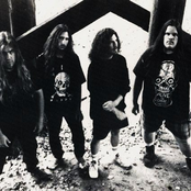 Crimson Thorn - List pictures