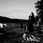 Skitzo Calypso - List pictures