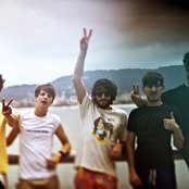 Foals - List pictures