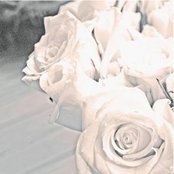 Korallreven - List pictures