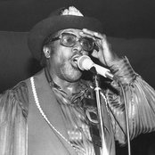 Bo Diddley - List pictures