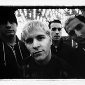 The Dingees - List pictures