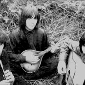 Forest - List pictures