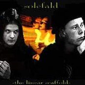 Solefald - List pictures