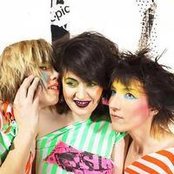 Chicks On Speed - List pictures