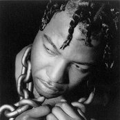 Spice 1 - List pictures