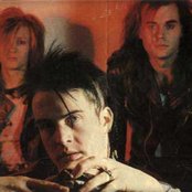 Skinny Puppy - List pictures