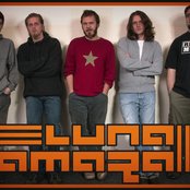Luna Amara - List pictures