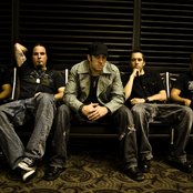 Digital Summer - List pictures