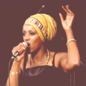 Mo'kalamity - List pictures