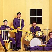 Cranberries - List pictures