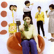 Bridge - List pictures