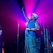 Shapeshifter - List pictures